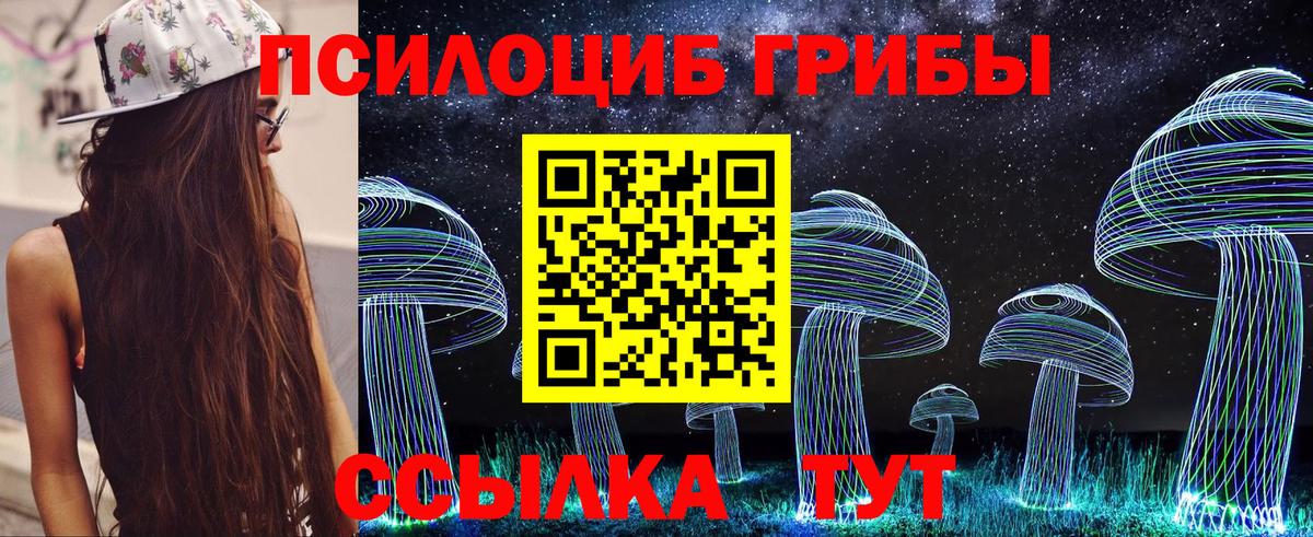 Псилоцибиновые грибы Psilocybine cubensis Добрянка